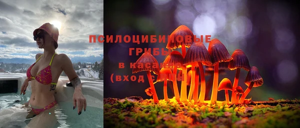 трава Магадан